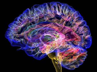 考B一区色色色大脑植入物有助于严重头部损伤恢复